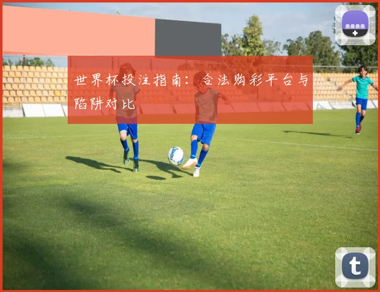 世界杯投注指南：合法购彩平台与陷阱对比
