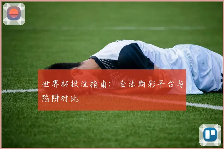 世界杯投注指南：合法购彩平台与陷阱对比