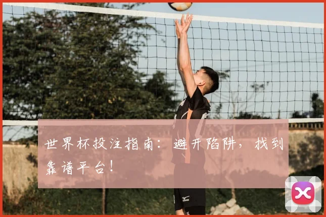 世界杯投注指南：避开陷阱，找到靠谱平台！