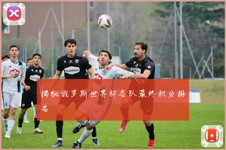 揭秘俄罗斯世界杯各队最终积分排名