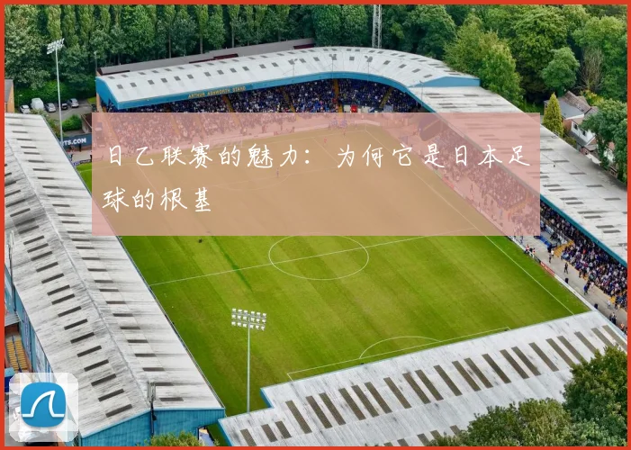 日乙联赛的魅力:为何它是日本足球的根基