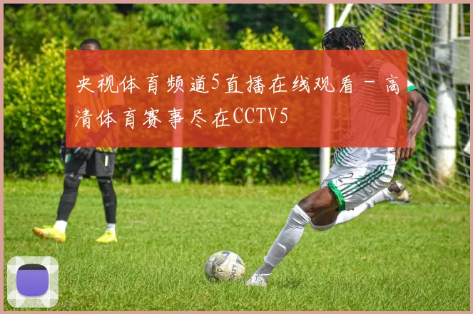 央视体育频道5直播在线观看 - 高清体育赛事尽在CCTV5