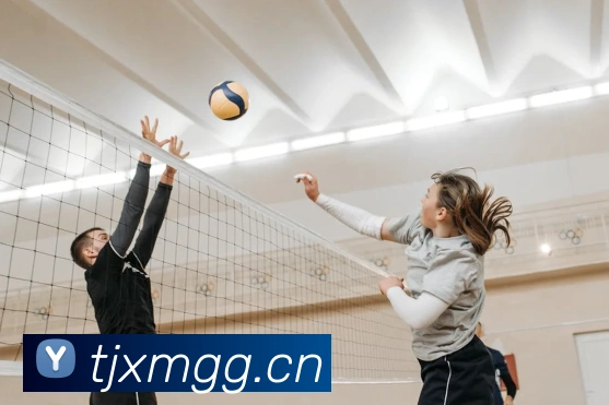 爱游戏ayx网页版登录入口APP 高清赛事图